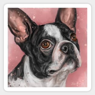 Contemporary Painting of a Cute Boston Terrier on Pink Background Sticker